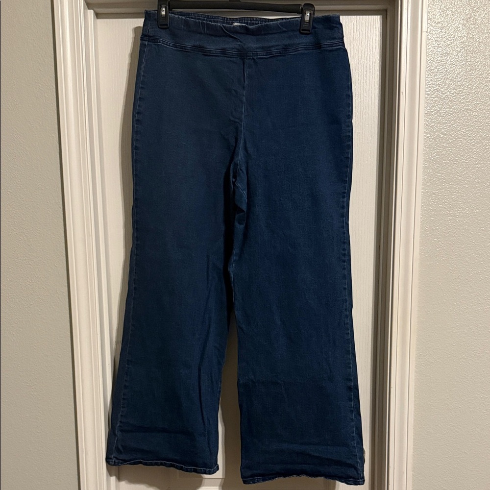 Jaclyn Smith Navy Denim pull on Pants
